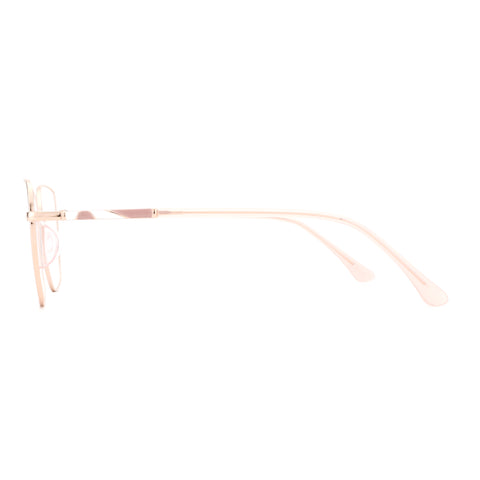 Zenottic Eyeglasses