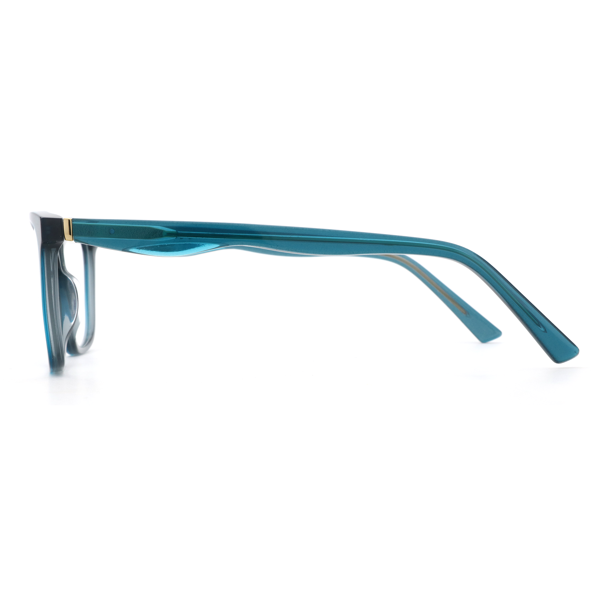 Zenottic Eyeglasses