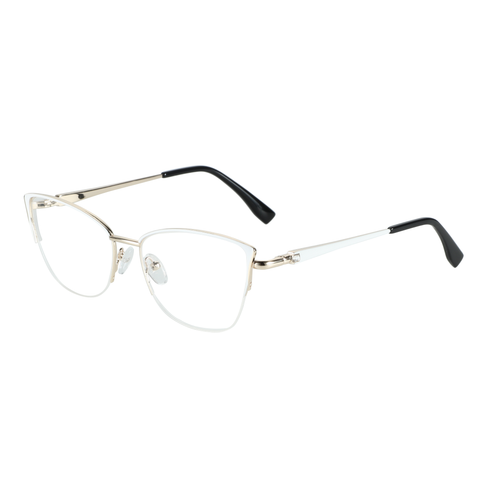 Zenottic Eyeglasses