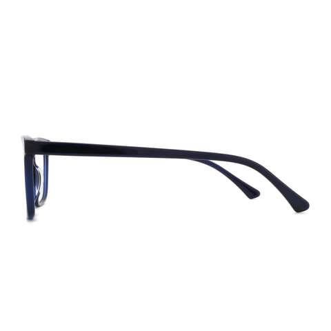 Zenottic Eyeglasses