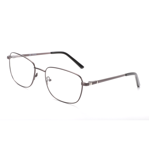 Zenottic Eyeglasses