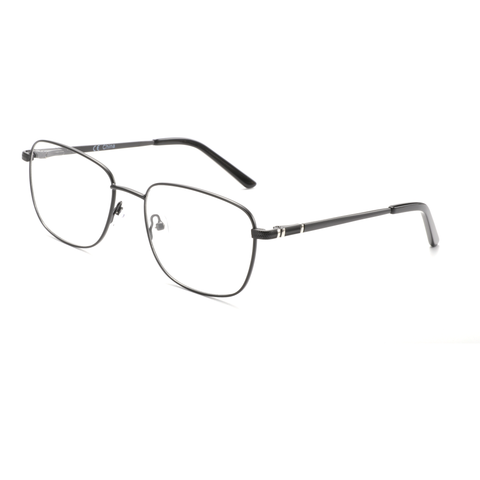 Zenottic Eyeglasses