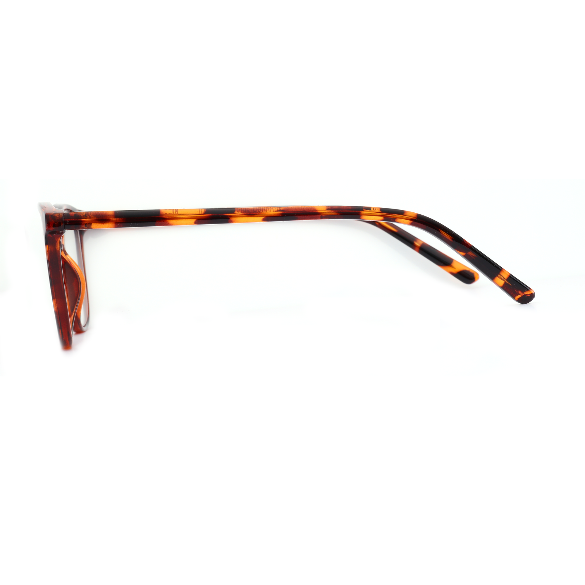 Zenottic Eyeglasses