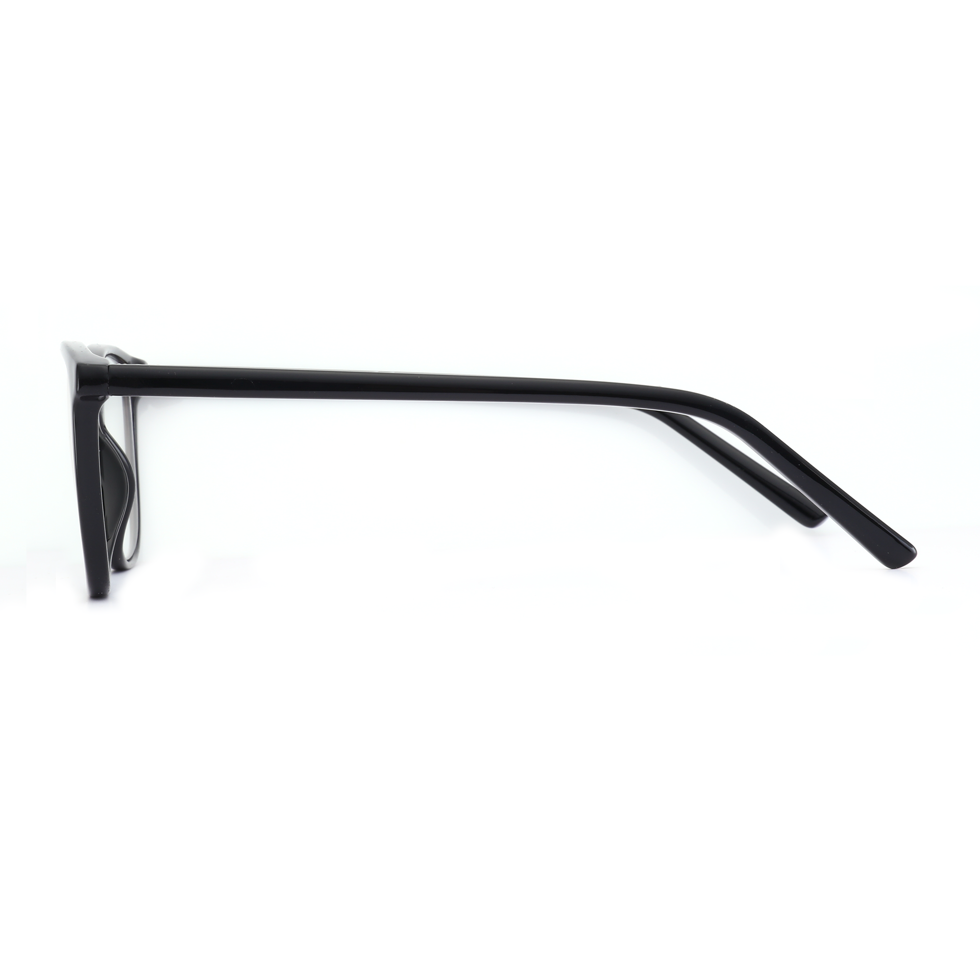Zenottic Eyeglasses