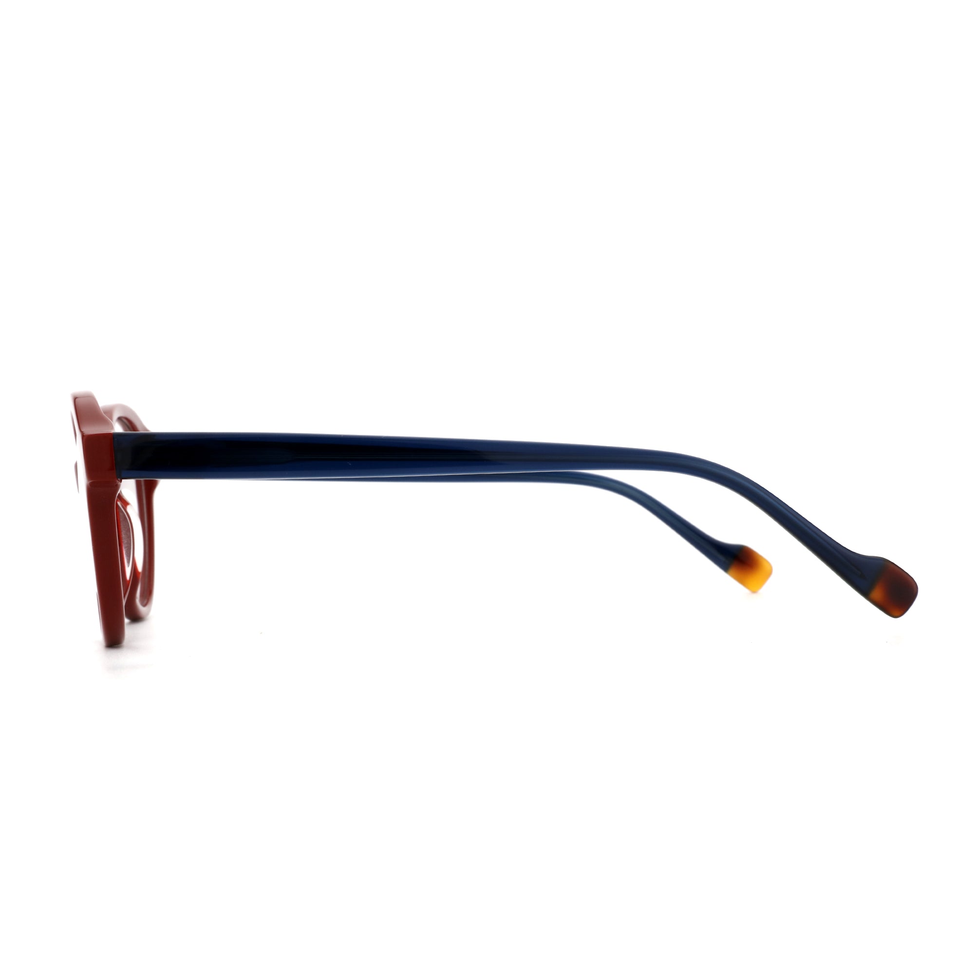 Zenottic Eyeglasses
