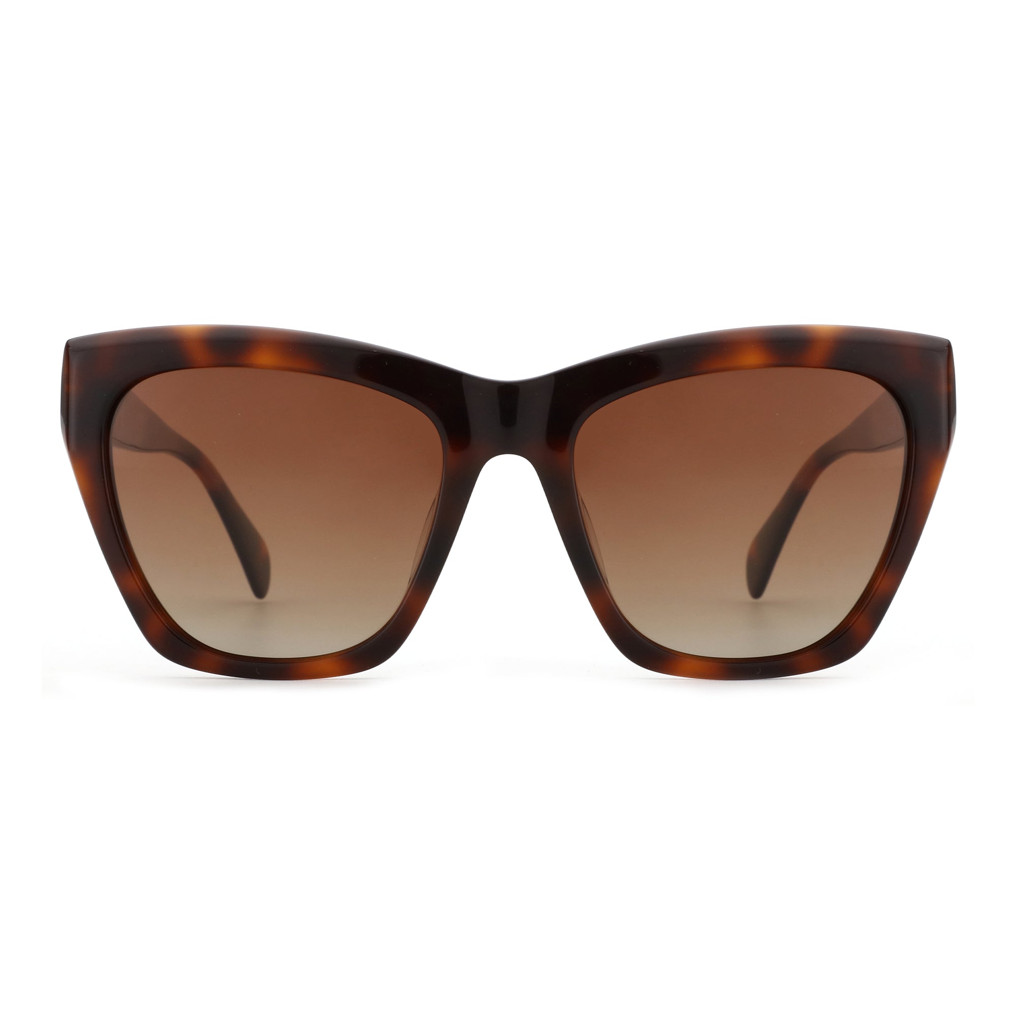 Zenottic Ayla sunglasses with tortoiseshell acetate frame and gradient brown lenses.