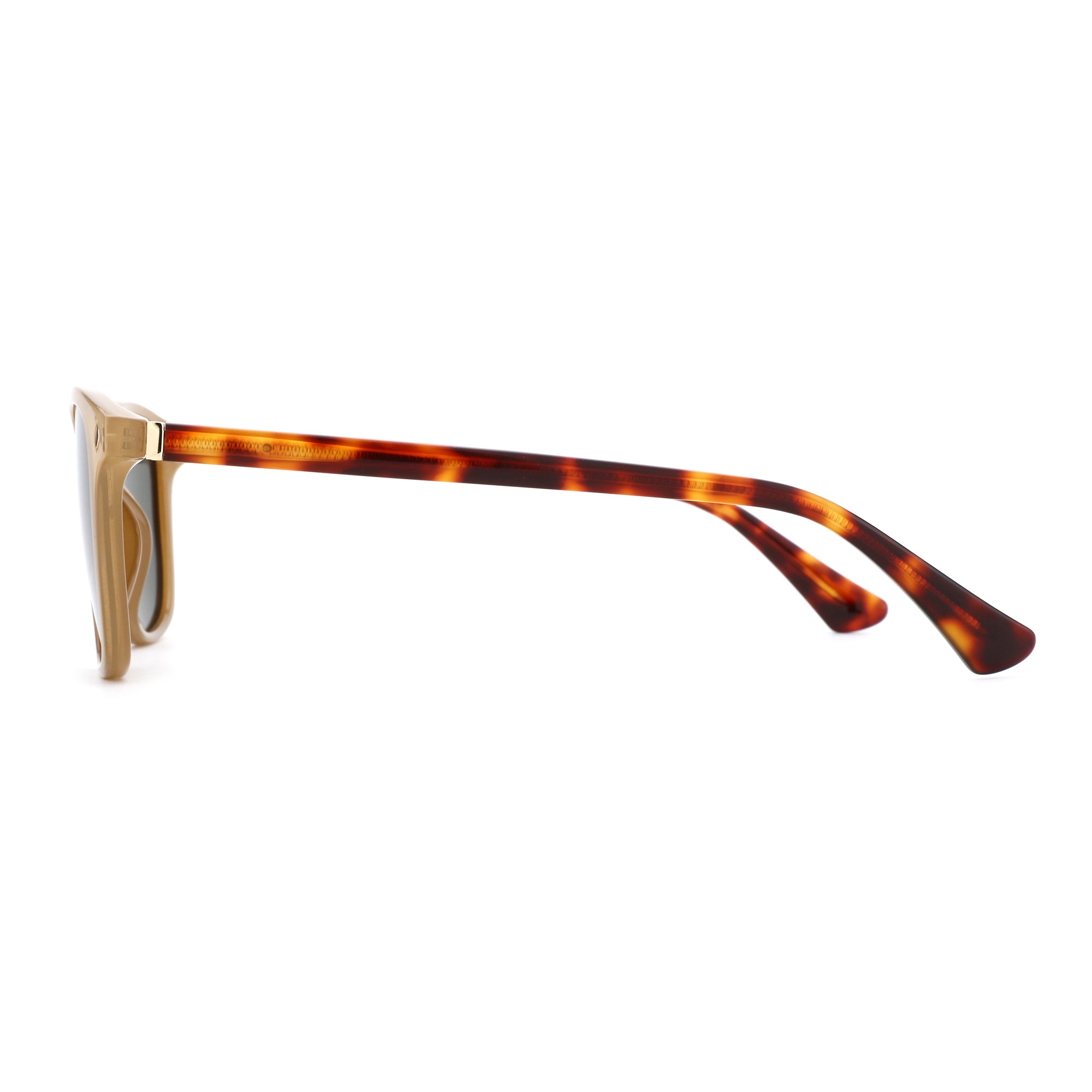 Zenottic Hugo sunglasses in tortoise shell pattern and beige frame with gold accent