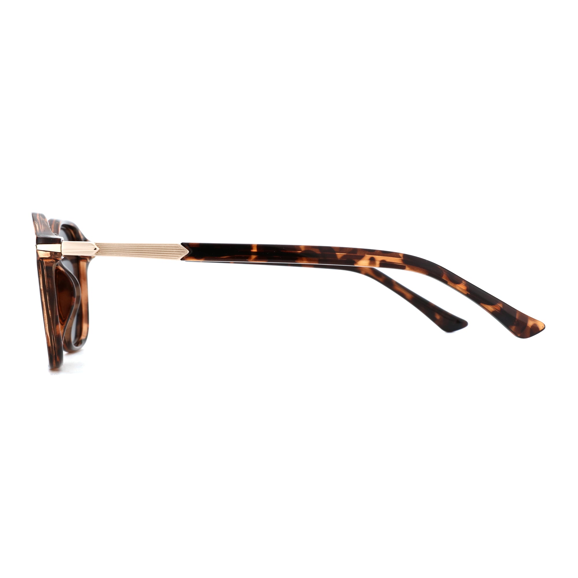 Zenottic Sun Glasses Fletcher, tortoise shell frame, gold accent temples, men's sunglasses.
