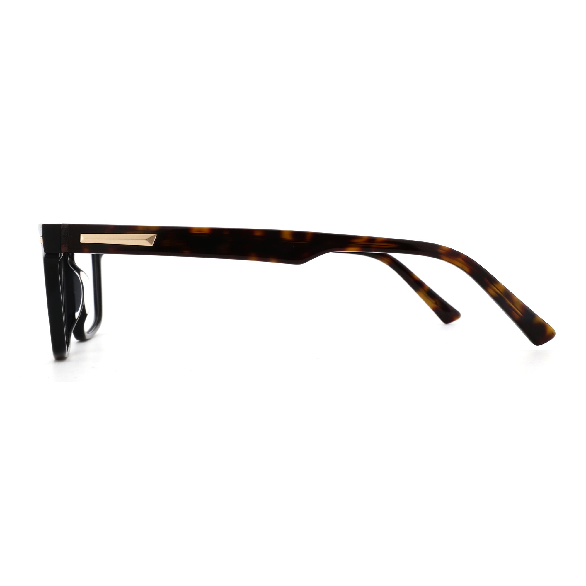 Zenottic Arnold eyeglasses in tortoiseshell acetate with gold accent on the temple.
