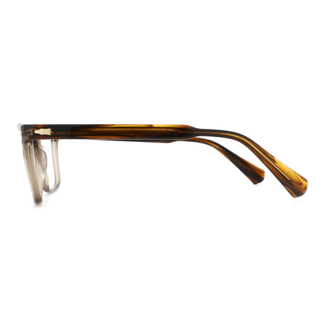 Zenottic Eyeglasses Ted in translucent tortoise shell brown acetate with gold temple accents.