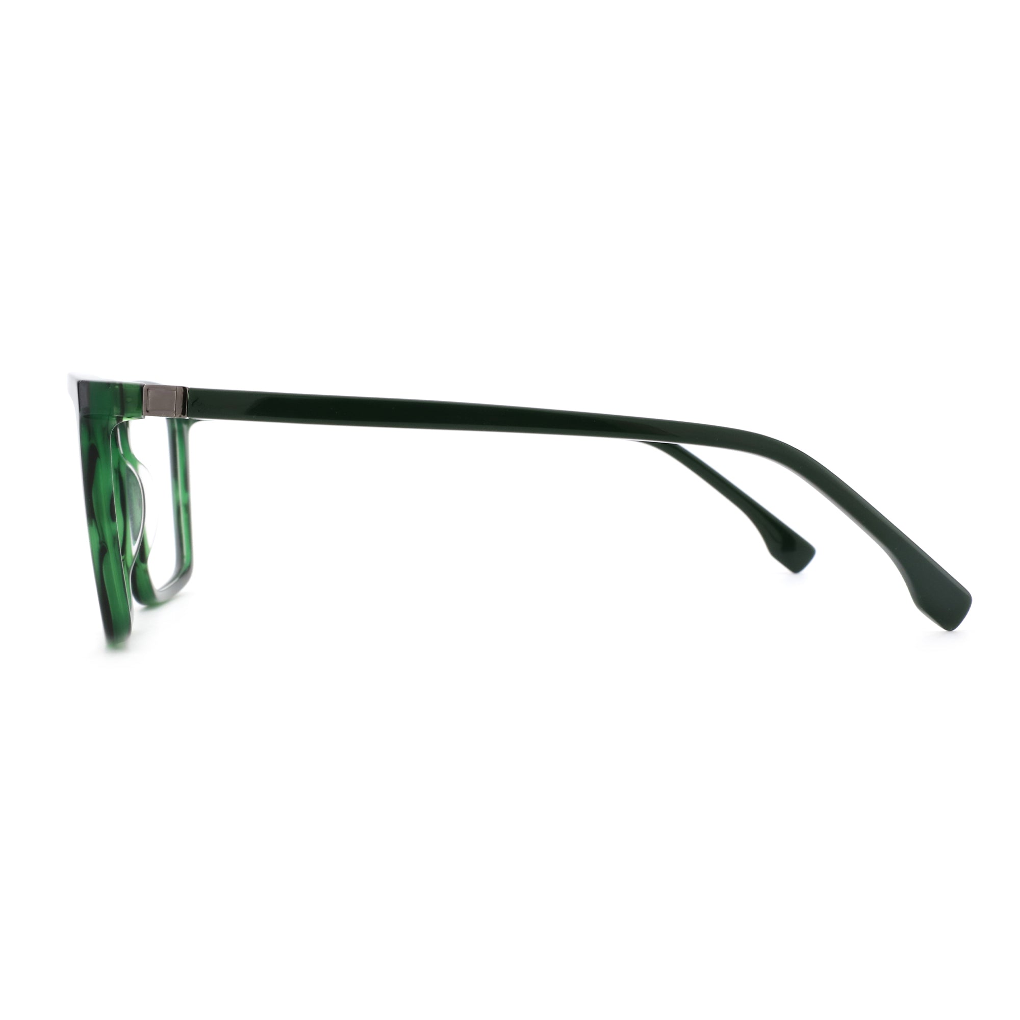 Zenottic Eyeglasses