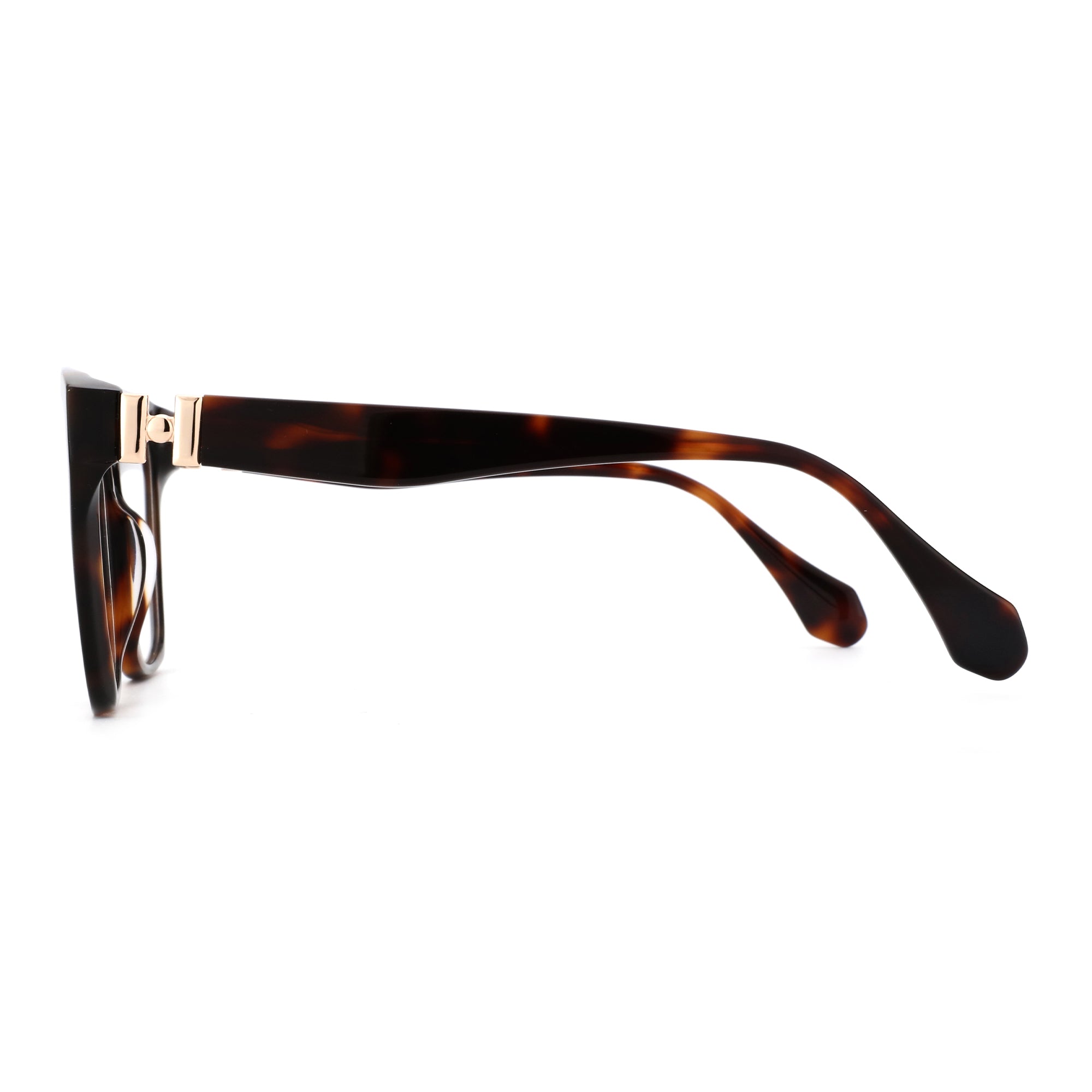 Zenottic Arden eyeglasses in tortoiseshell acetate with gold hinge detail.