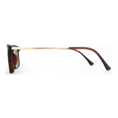 Zenottic Colin sunglasses, tortoise frame with gold arms, and dark lenses