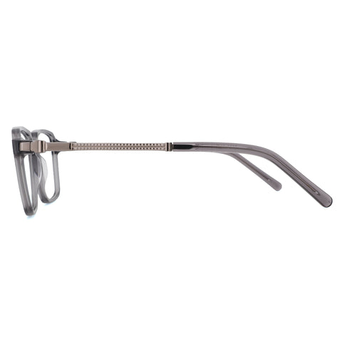 Zenottic Eyeglasses Parr