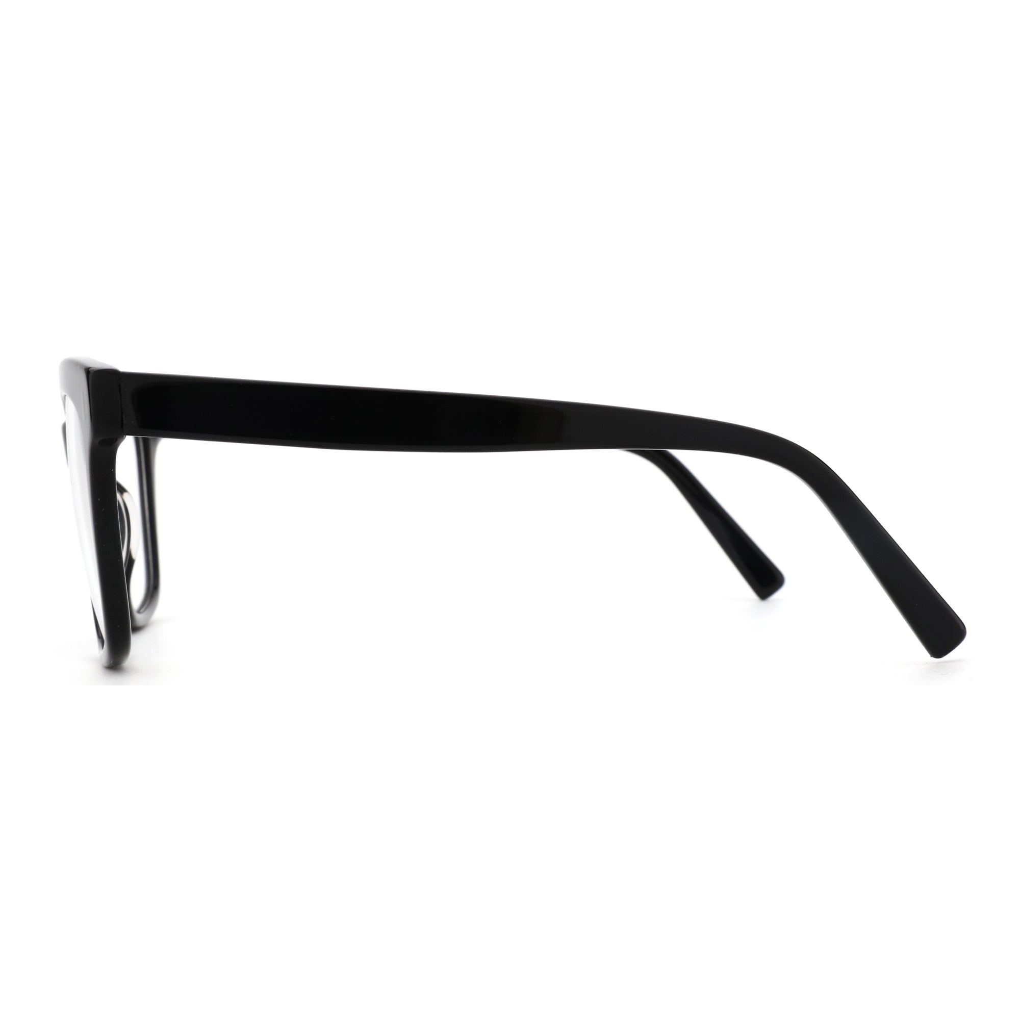 Zenottic Eyeglasses