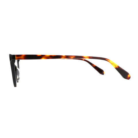 Zenottic Eyeglasses