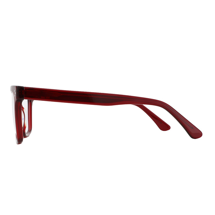 Zenottic Eyeglasses 