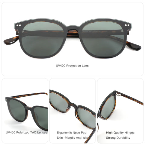 Zenottic Sun Glasses Cicada