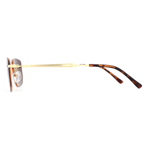 Zenottic Sun Glasses Proctor