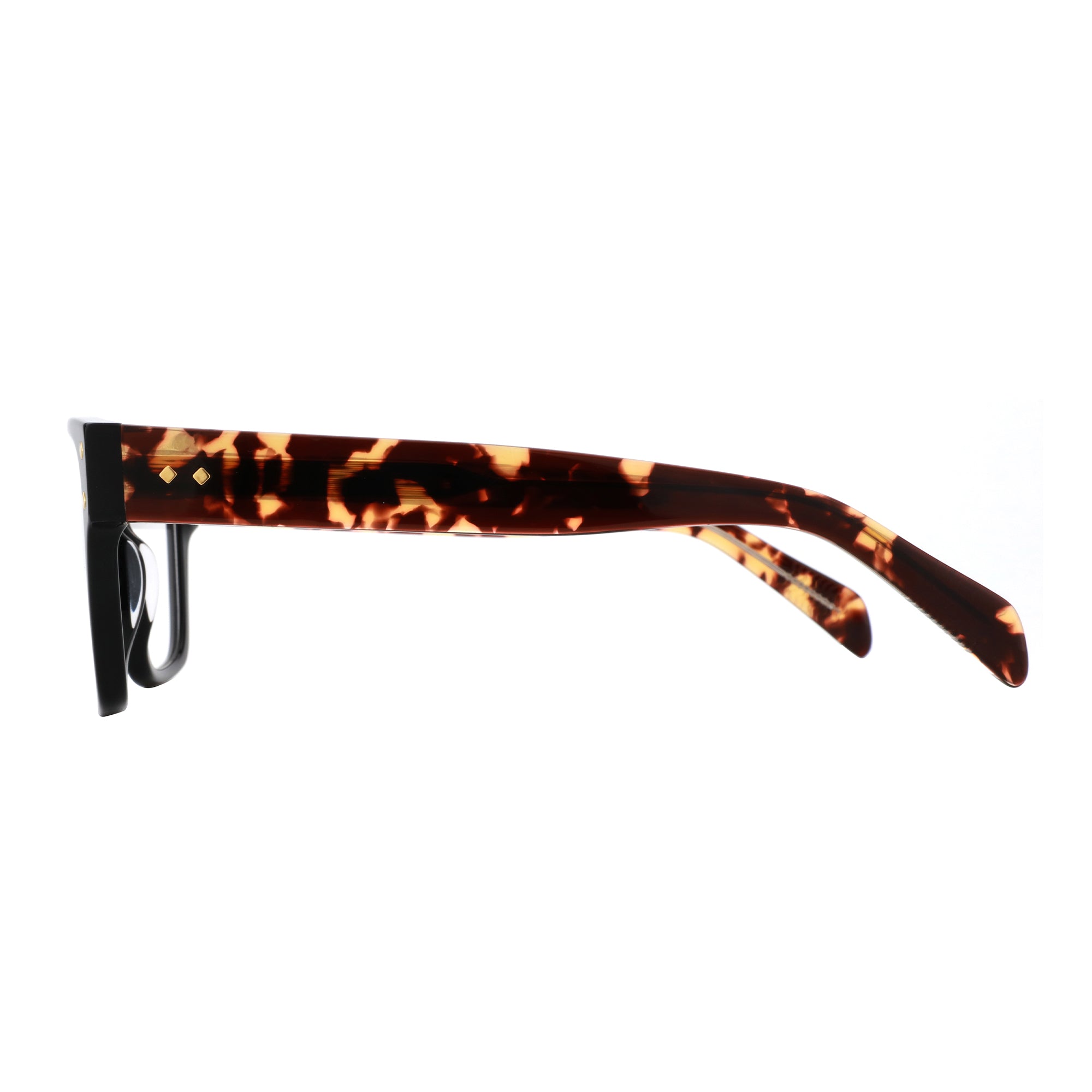 Zenottic Eyeglasses 
