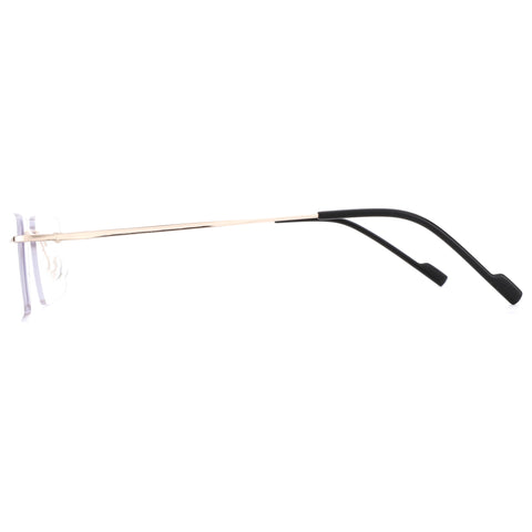 Zenottic Alyssa eyeglasses gold metal temple, black ear tip.