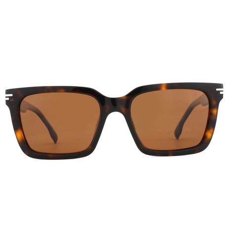 Zenottic Sun Glasses Sheffield