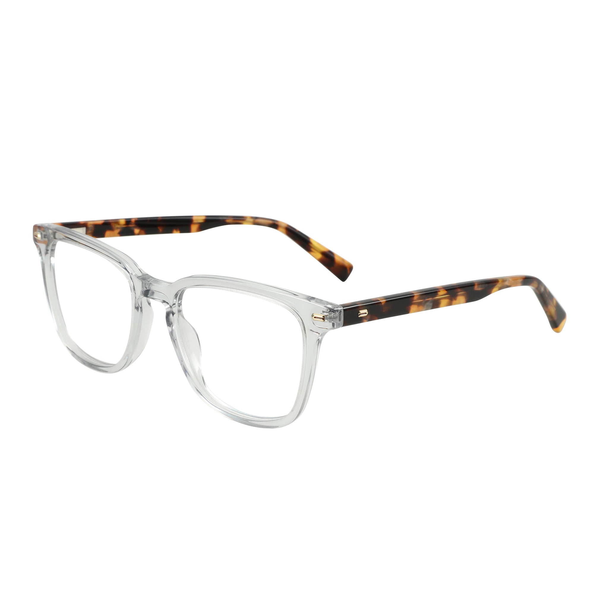 Zenottic Eyeglasses