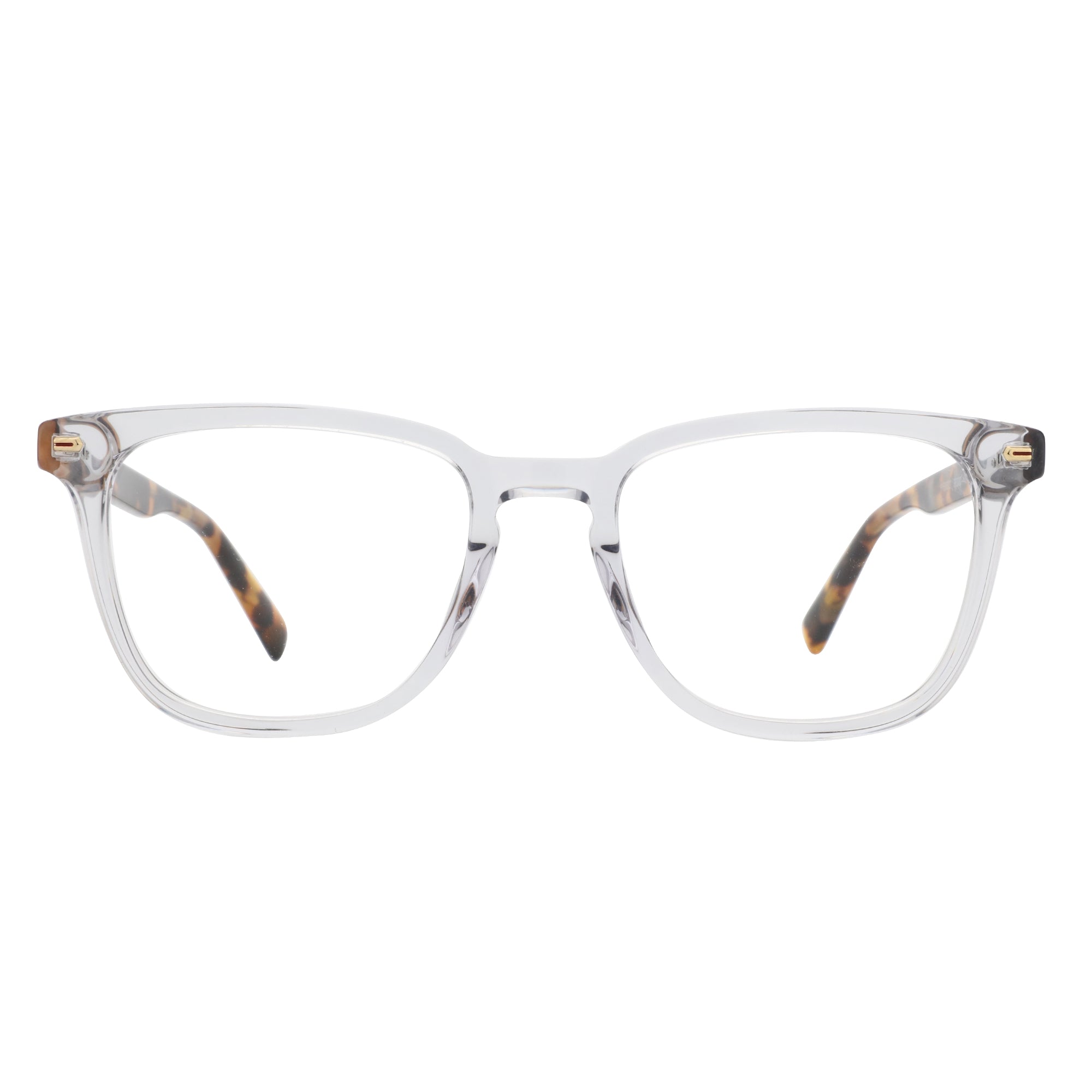Zenottic Eyeglasses