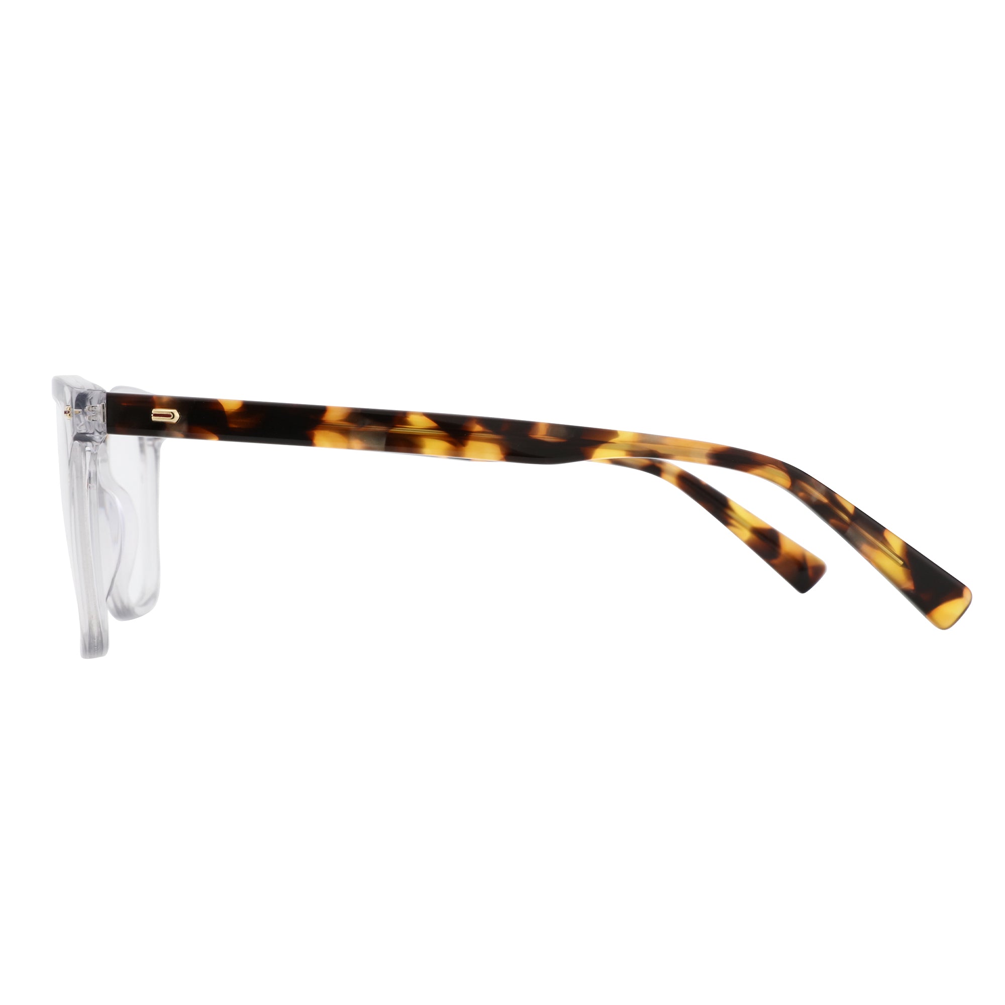 Zenottic Eyeglasses
