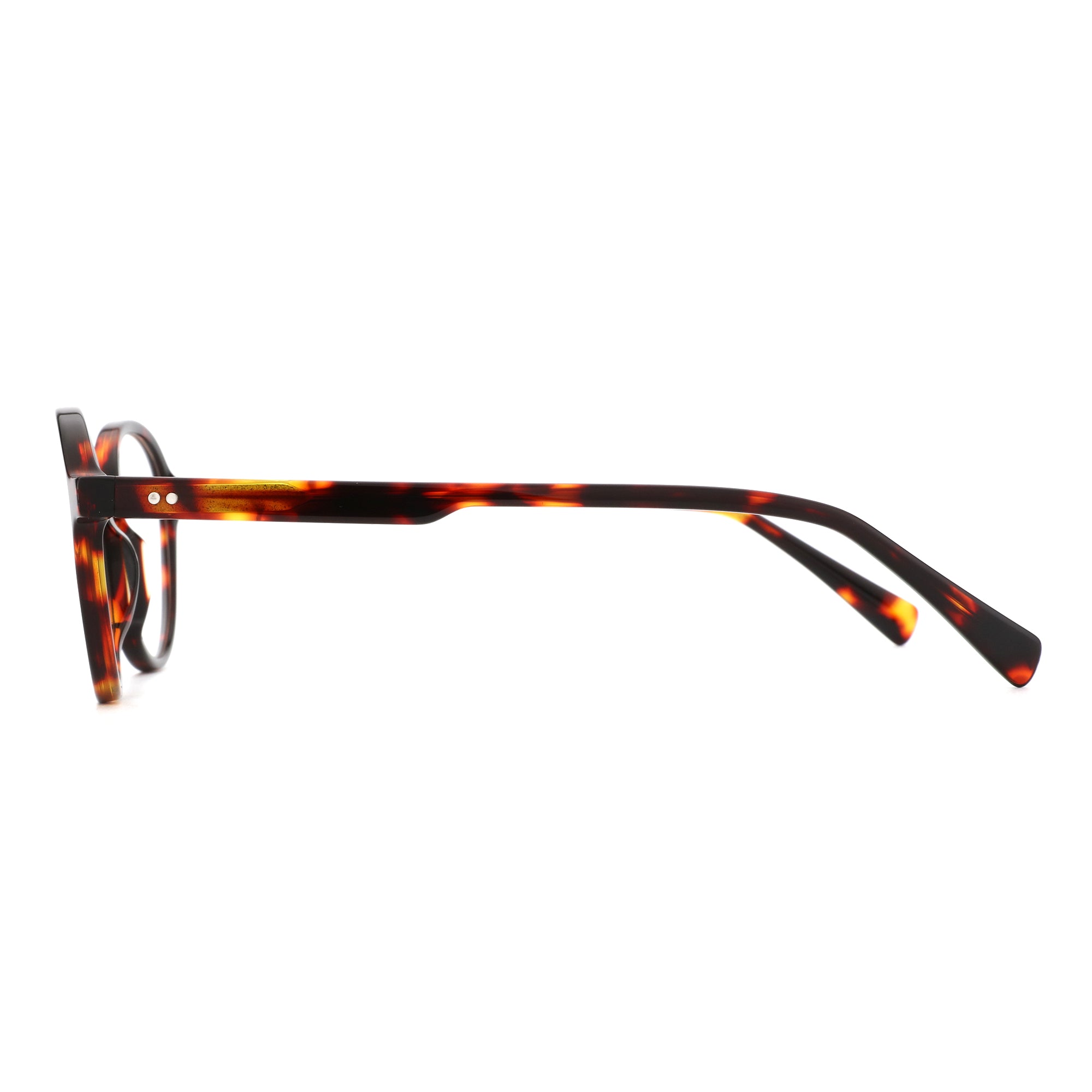 Zenottic Eyeglasses 