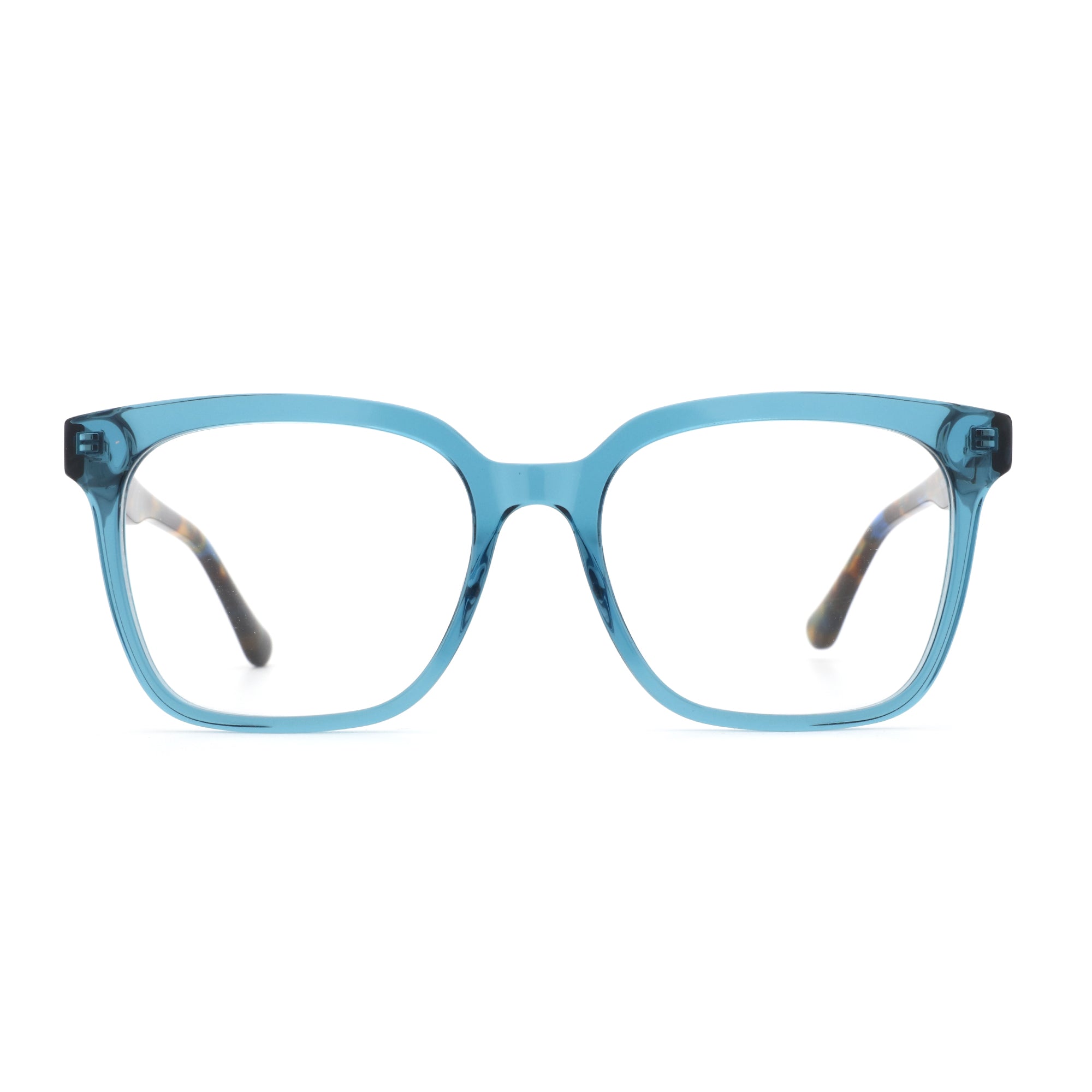 Zenottic Eyeglasses
