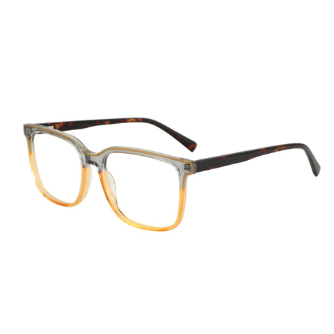 Zenottic Eyeglasses 